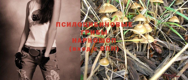 шишки Балабаново