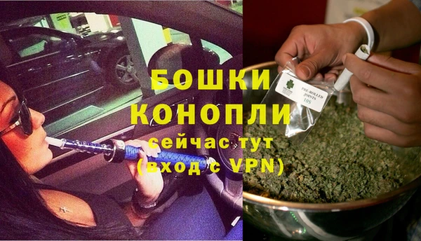 прущие крисы Беломорск