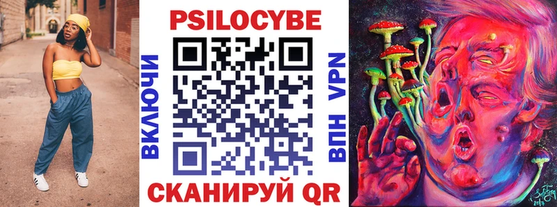 Псилоцибиновые грибы мицелий  цены наркотик  Ершов 